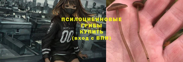 прущий лед Инсар