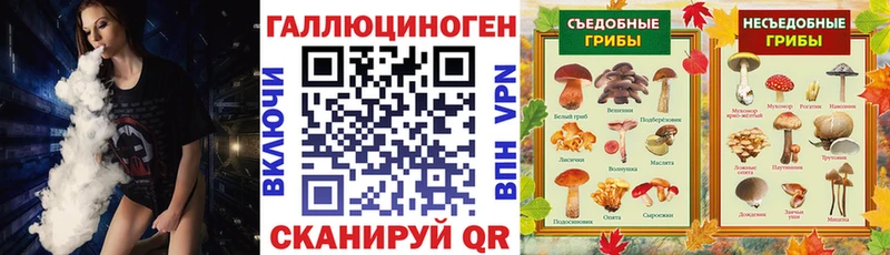 Купить закладки  Озёрск  Псилоцибиновые грибы Magic Shrooms 